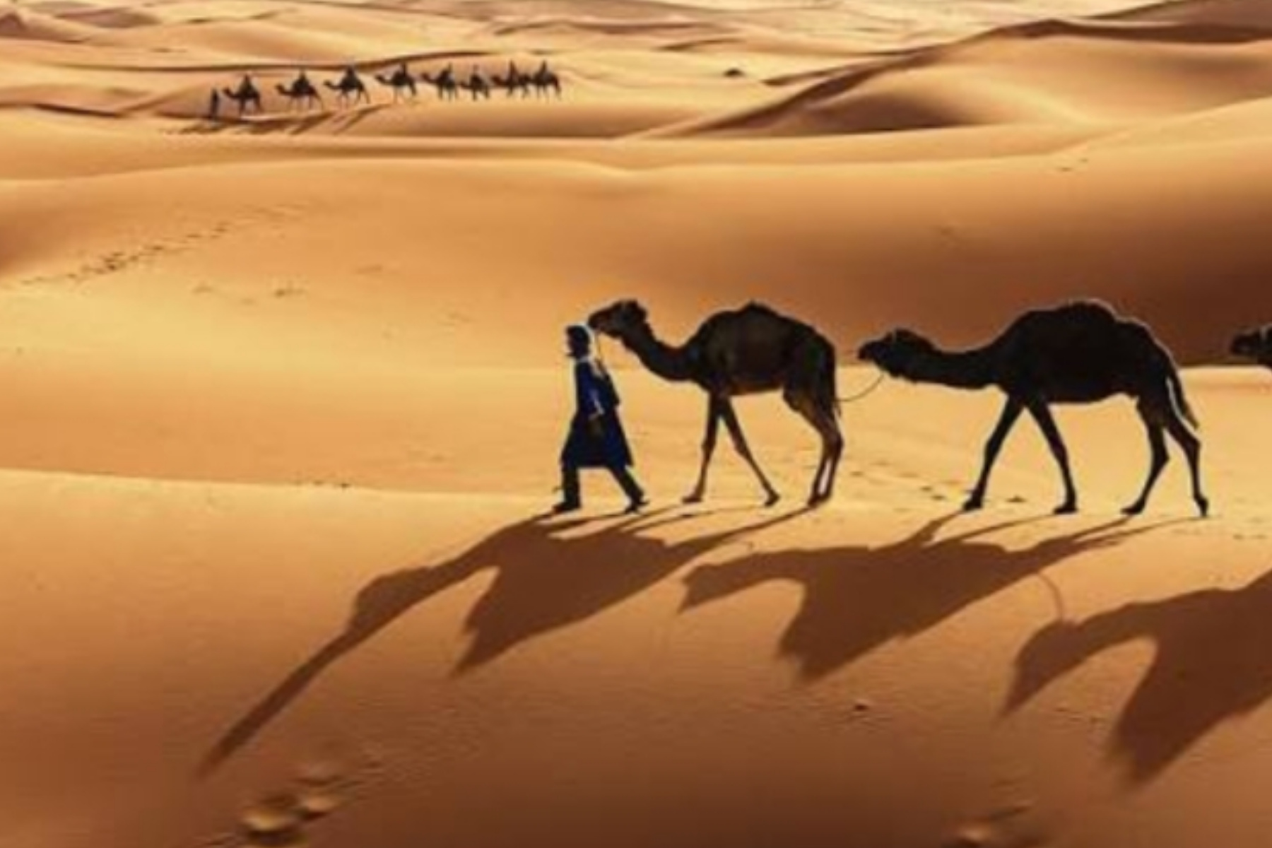 Strategi Bisnis Abdurrahman bin Auf di Era Modern 1 Strategi Bisnis Abdurrahman bin Auf di Era Modern