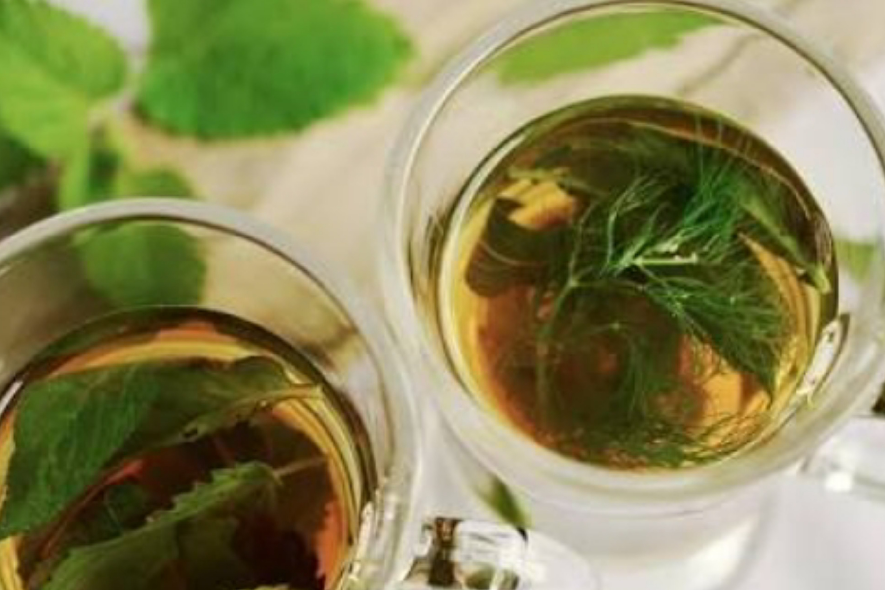 Teh Herbal: Rahasia Ketenangan dan Kesehatan Alami