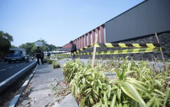 10 Pohon di Jalan Riau Ditebang, Wali Kota Bandung Murka