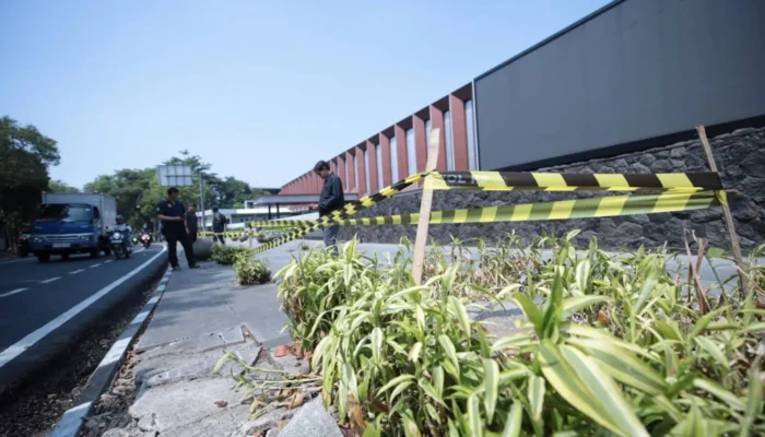 10 Pohon di Jalan Riau Ditebang, Wali Kota Bandung Murka