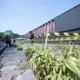 10 Pohon di Jalan Riau Ditebang, Wali Kota Bandung Murka
