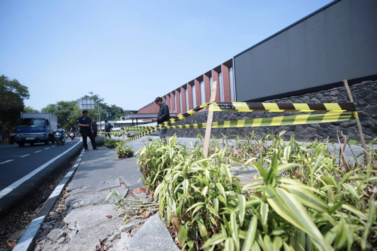 10 Pohon di Jalan Riau Ditebang, Wali Kota Bandung Murka