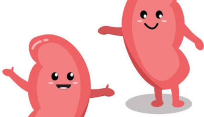 Cara Menjaga Kesehatan Ginjal dengan Pola Hidup Sederhana