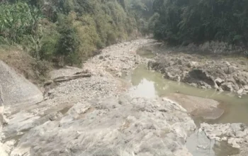 Debit Air Surut, Puluhan Hektare Sawah di Cianjur Mengering 4 Debit Air Surut, Puluhan Hektare Sawah di Cianjur Mengering