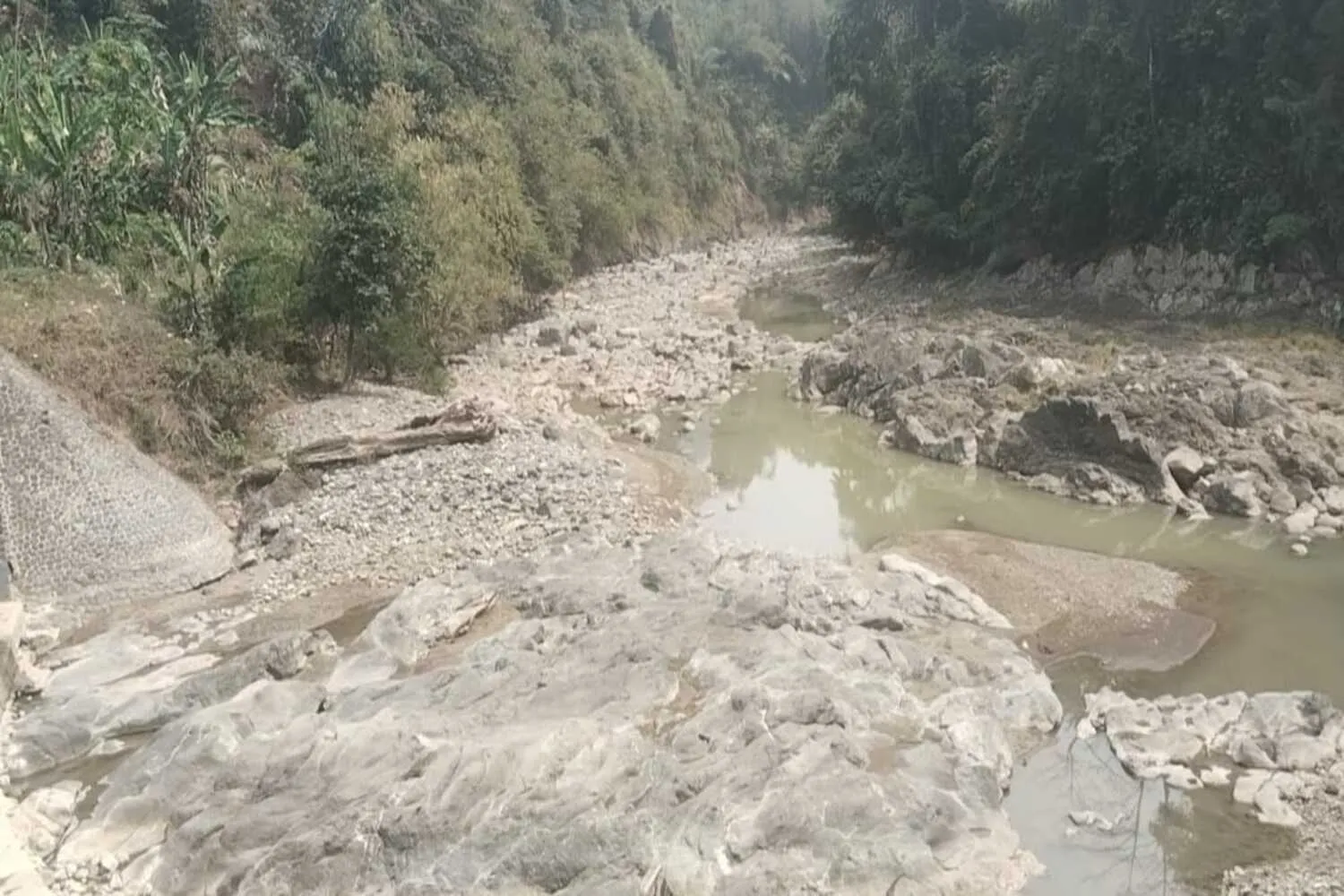Debit Air Surut, Puluhan Hektare Sawah di Cianjur Mengering