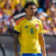 Everton Ikut Bersaing Dapatkan Gelandang Benfica Richard Rios