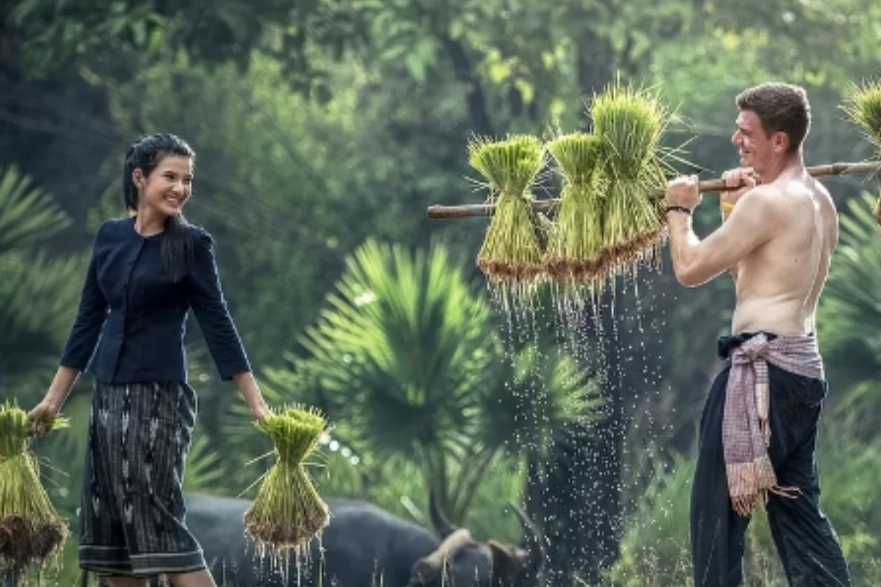 Gaya Hidup Minimalis: Manfaat dan Cara Memulainya