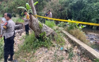Geger! Warga Warudoyong Sukabumi Temukan Jasad Bayi Laki-Laki di Anak Sungai Cipelang 3 Geger! Warga Warudoyong Sukabumi Temukan Jasad Bayi Laki-Laki di Anak Sungai Cipelang