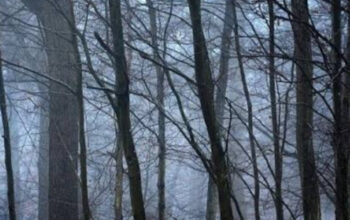 Gunung Ciremai: Cerita Mistis dan Penampakan yang Sering Dikisahkan Pendaki 3 Gunung Ciremai: Cerita Mistis dan Penampakan yang Sering Dikisahkan Pendaki