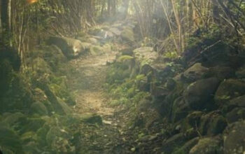 Misteri Alas Purwo: Benarkah Hutan Ini Menjadi Gerbang Dunia Gaib?
