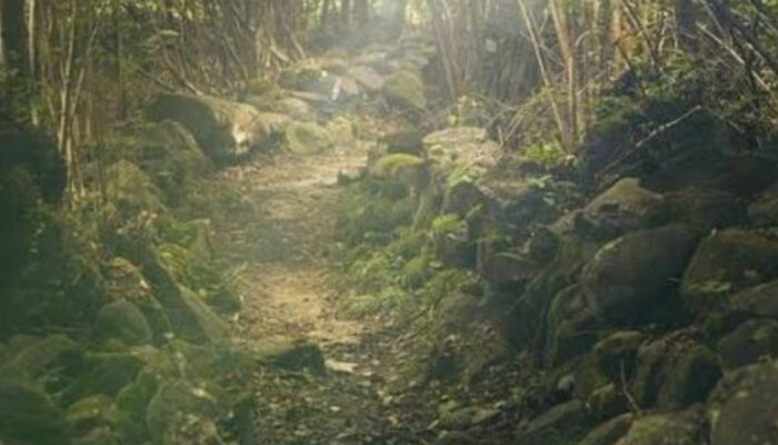 Misteri Alas Purwo: Benarkah Hutan Ini Menjadi Gerbang Dunia Gaib?