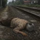Nenek Tanpa Identitas Ditemukan Tewas di Rel Kereta Ciranjang Cianjur