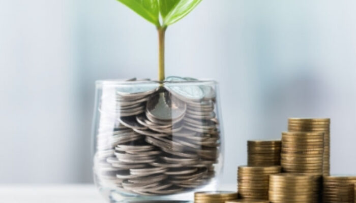Panduan Investasi Aman untuk Pemula Menuju Kebebasan Finansial