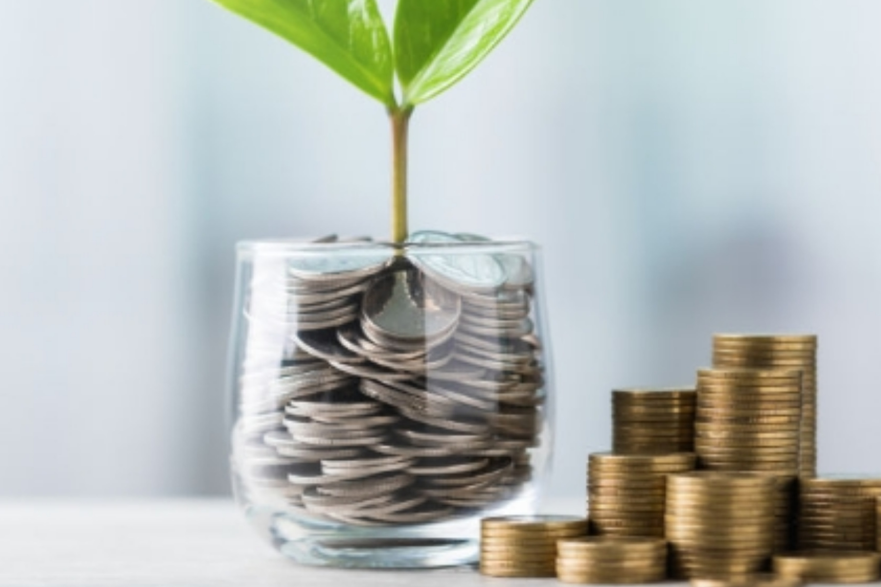 Panduan Investasi Aman untuk Pemula Menuju Kebebasan Finansial