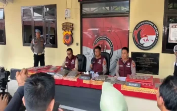 Terbongkar! Gudang Ganja 14,8 Kg di Cianjur Digerebek Polisi 3 Terbongkar! Gudang Ganja 14,8 Kg di Cianjur Digerebek Polisi