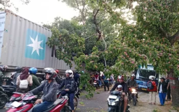 Truk Kontainer Tabrak Pohon di Cianjur, Lalu-lintas Lumpuh 1,5 Jam