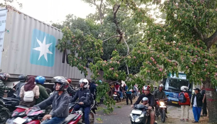 Truk Kontainer Tabrak Pohon di Cianjur, Lalu-lintas Lumpuh 1,5 Jam