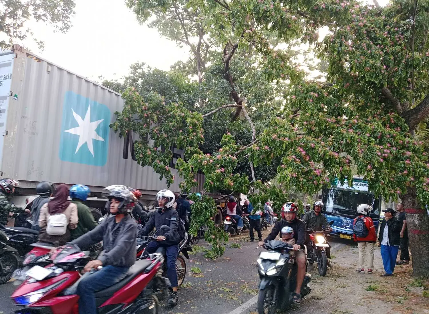 Truk Kontainer Tabrak Pohon di Cianjur, Lalu-lintas Lumpuh 1,5 Jam