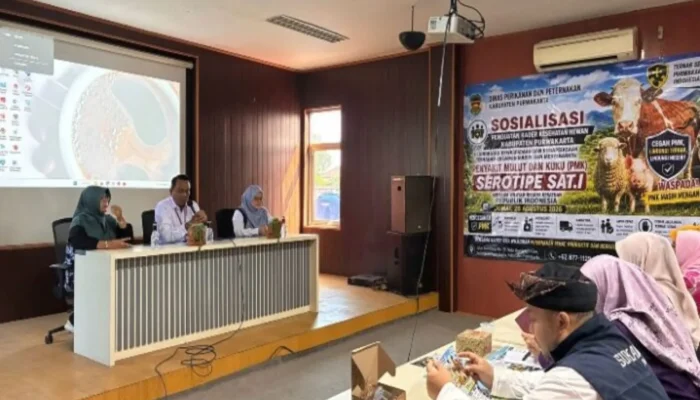 Disnakan Purwakarta Gelar Sosialisasi Penguatan Kader Kesehatan Hewan dalam Rangka Antisipasi Penyebaran PMK