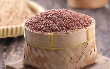Herbal Penurun Kolesterol, Mana yang Terbukti Efektif? 3 Herbal Penurun Kolesterol, Mana yang Terbukti Efektif?