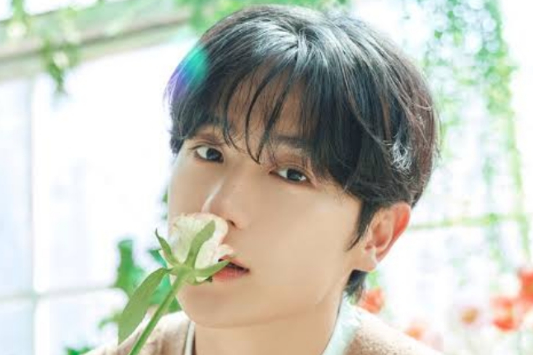 Hyunjae THE BOYZ Tambah Jadwal Fan Meeting, Tiket Pertama Langsung Ludes 1 Hyunjae THE BOYZ Tambah Jadwal Fan Meeting, Tiket Pertama Langsung Ludes