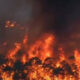 Kebakaran Hutan Kalimantan Makin Meluas