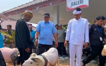 Resmikan Pasar Hewan Jonggol dan Pasar Benih Ikan Ciseeng, Begini Kata Rudy-Jaro!! 10 Resmikan Pasar Hewan Jonggol dan Pasar Benih Ikan Ciseeng, Begini Kata Rudy-Jaro!!Â