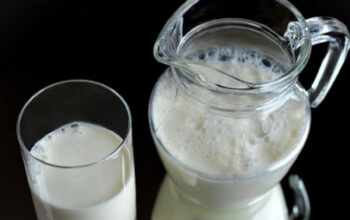 Susu Collagen Bisa Jadi Pelengkap Nutrisi, Ini yang Perlu Diketahui