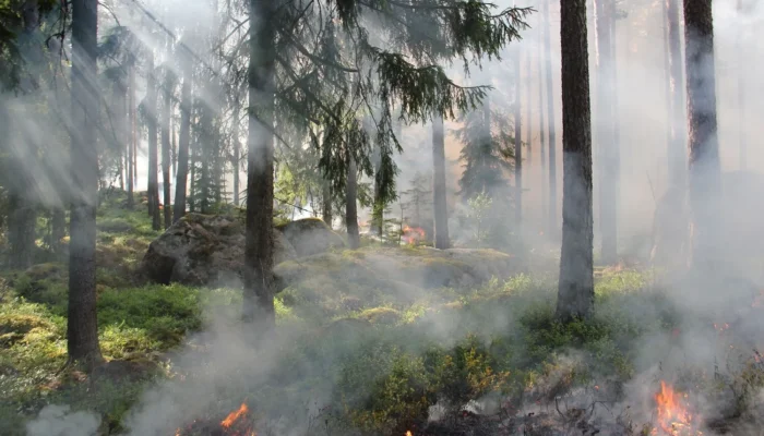 228 Hektare Lahan Terbakar, KDM Perketat Pendakian Gunung