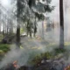 228 Hektare Lahan Terbakar, KDM Perketat Pendakian Gunung