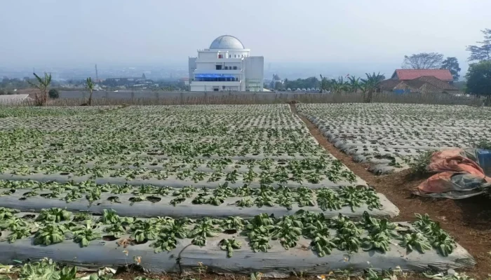 Dentuman Misterius Gegerkan Bandung Raya, Rumah Warga Bergetar