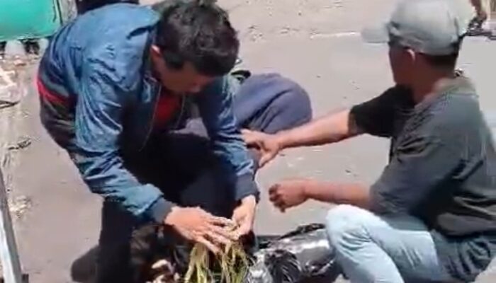 Kurang dari 24 Jam: Aksi Cepat Aipda Eka Rahayu Kembalikan Harapan Anak Panti Asuhan