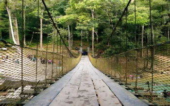 Jembatan Margacinta di Pangandaran Ambruk, Pemprov Jabar Siapkan Solusi 1 Jembatan Margacinta di Pangandaran Ambruk, Pemprov Jabar Siapkan Solusi