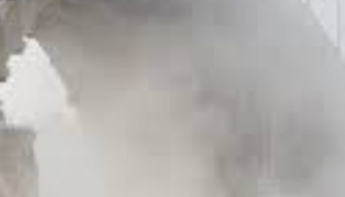 Kabut Asap Makin Tebal? Ini Langkah Penting untuk Melindungi Kesehatan Keluarga