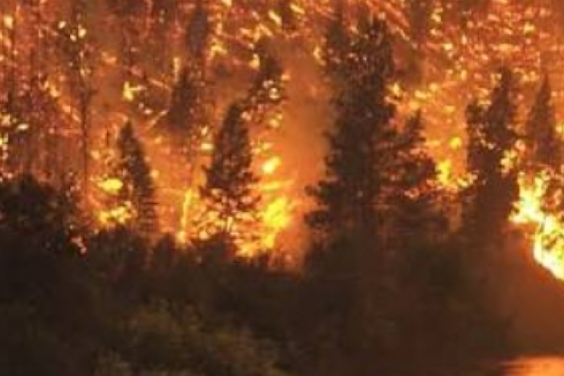 Kebakaran Hutan Mengintai Saat Kemarau, Ini Langkah Pencegahannya 1 Kebakaran Hutan Mengintai Saat Kemarau, Ini Langkah Pencegahannya
