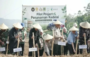 Kedelai Cariu Jadi Pilot Project: Langkah Pemkab Bogor dan TNI Pacu Ketahanan Pangan Hulu-Hilir