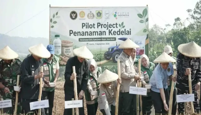 Kedelai Cariu Jadi Pilot Project: Langkah Pemkab Bogor dan TNI Pacu Ketahanan Pangan Hulu-Hilir