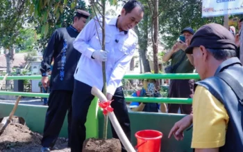 Kompensasi Underpass Gatot Subroto, 74 Pohon Mulai Ditanam 9 Kompensasi Underpass Gatot Subroto, 74 Pohon Mulai Ditanam
