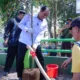 Kompensasi Underpass Gatot Subroto, 74 Pohon Mulai Ditanam