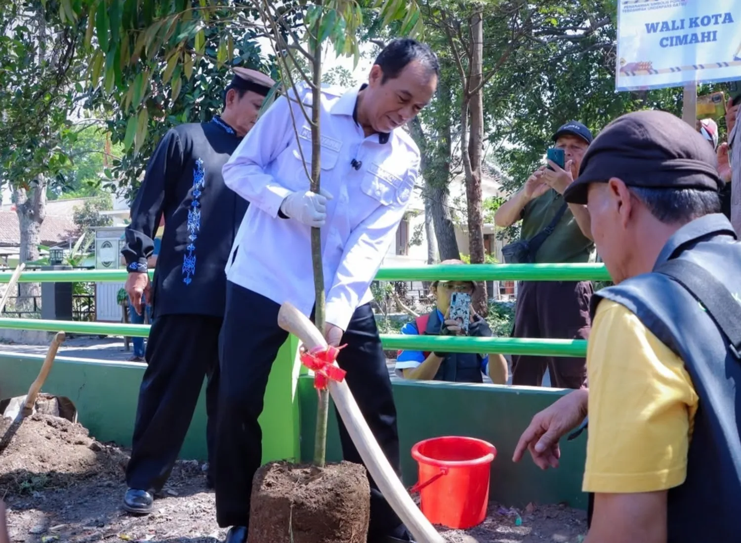 Kompensasi Underpass Gatot Subroto, 74 Pohon Mulai Ditanam 1 Kompensasi Underpass Gatot Subroto, 74 Pohon Mulai Ditanam