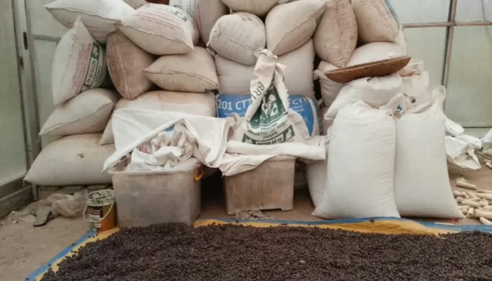 Kopi Gunung Malang Ciengang Kabupaten Sukabumi Dikembangkan, Petani Bidik Pasar Ekspor