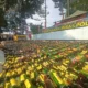 Polres Cimahi Musnahkan 15.000 Botol Miras Ilegal