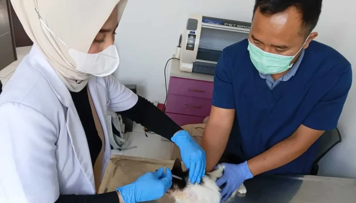 Waspada Rabies! Bandung Barat Targetkan 2.000 Vaksin Gratis