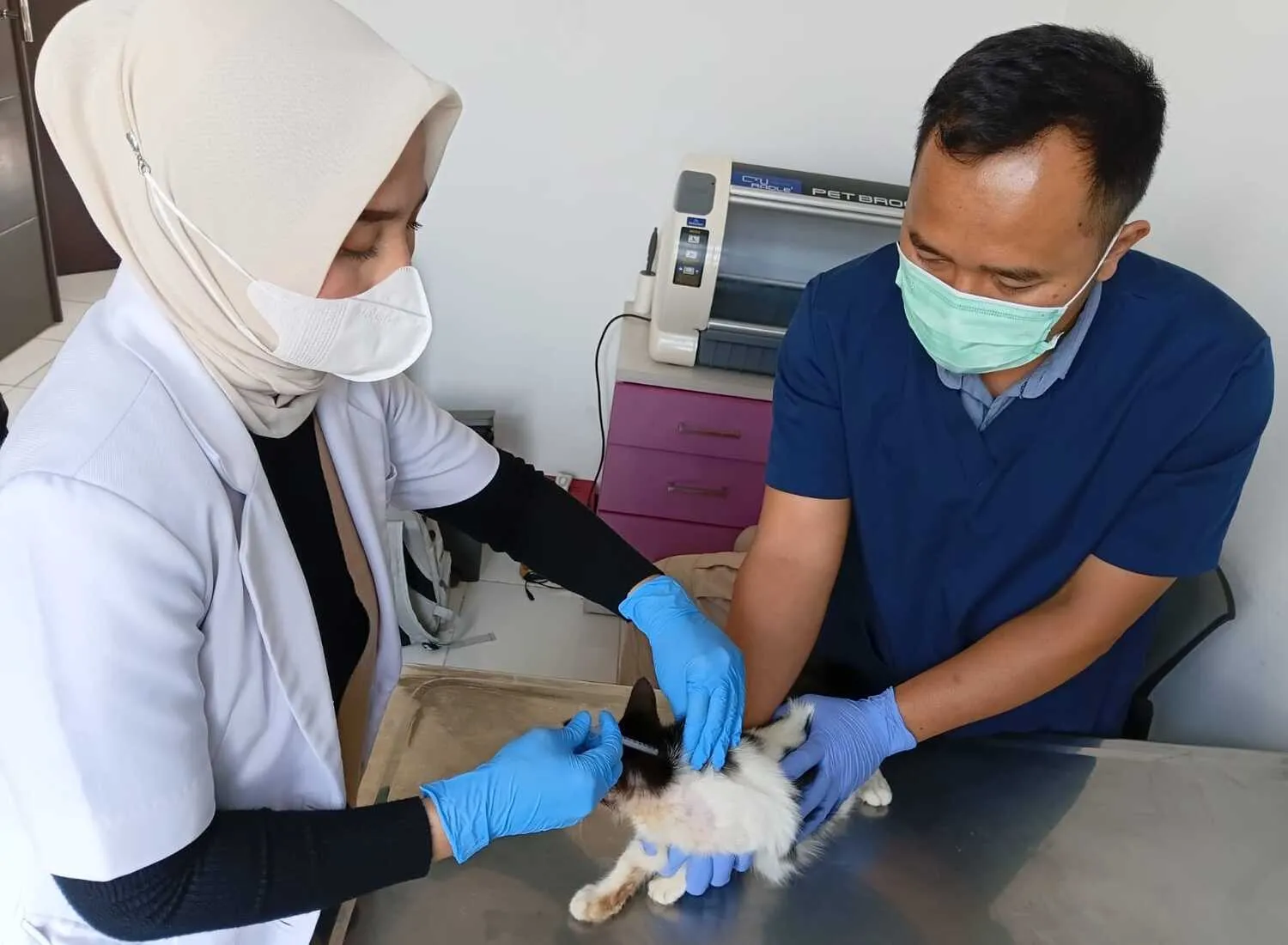 Waspada Rabies! Bandung Barat Targetkan 2.000 Vaksin Gratis