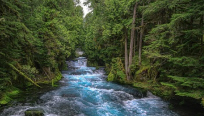 Mengapa Sungai Pernah Menjadi Jalan Utama Peradaban Nusantara?