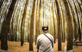 Menunggu dengan Sabar Bukan Berarti Berhenti dalam Kehidupan 3 Menunggu dengan Sabar Bukan Berarti Berhenti dalam Kehidupan