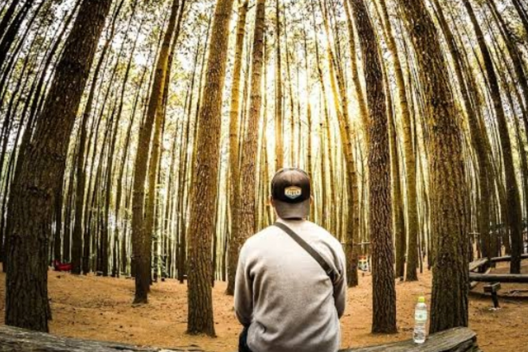 Menunggu dengan Sabar Bukan Berarti Berhenti dalam Kehidupan