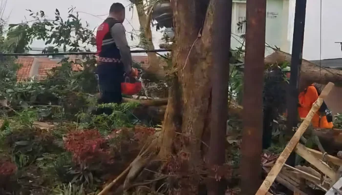 Puting Beliung Terjang Padalarang Bandung Barat, 520 Rumah Rusak