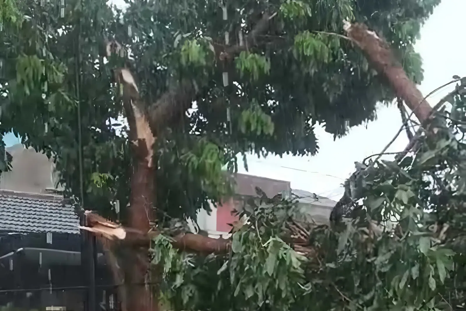 Puting Beliung Terjang Padalarang Bandung Barat, Atap Rumah dan Warung Rusak