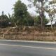 Rencana Penebangan Pohon Milik Pemprov Jabar di Jatiluhur Dipertanyakan, PT GM Diingatkan Tak Gegabah